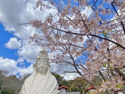 大船観音寺0317