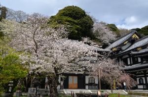 長谷寺0407
