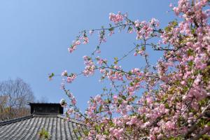 光則寺0407