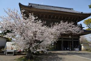 光明寺0407
