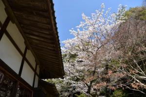 浄光明寺0409