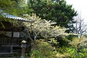 安国論寺0409