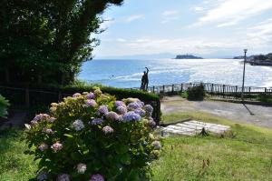 鎌倉海浜公園 稲村ガ崎地区のあじさい