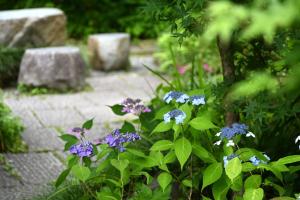 光則寺0526①