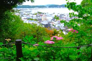 長谷寺0526①