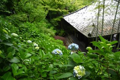 長谷寺0526