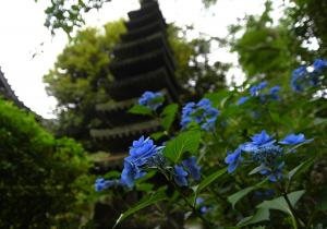 安国論寺0615①