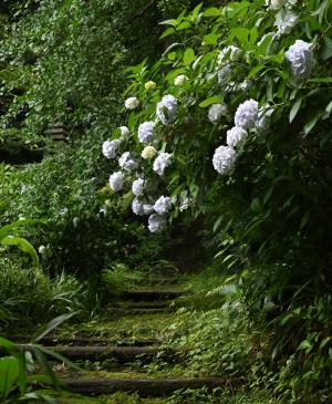 安国論寺0615②