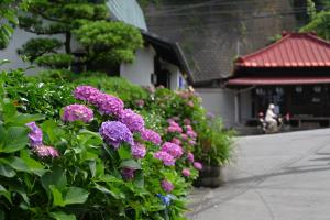 極楽寺0616①