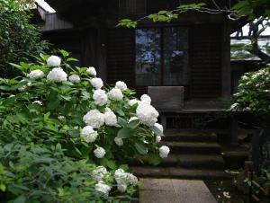 極楽寺0616②