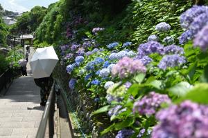 成就院0616①
