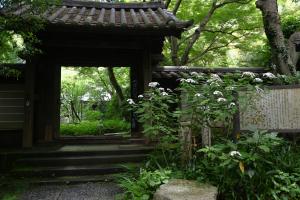 瑞泉寺0616①