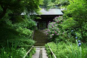 妙法寺0616