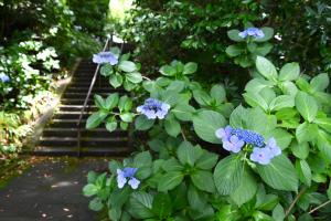 妙本寺0626①