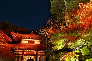 長谷寺の紅葉