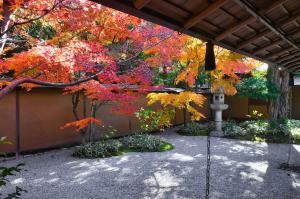 一条恵観山荘の紅葉