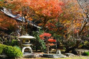 覚園寺の紅葉