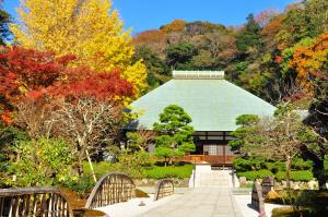 浄妙寺の紅葉