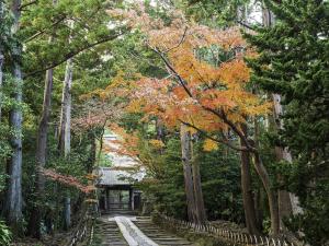 寿福寺の紅葉