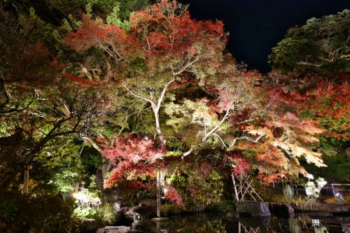 長谷寺の紅葉