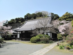 浄光明寺の画像