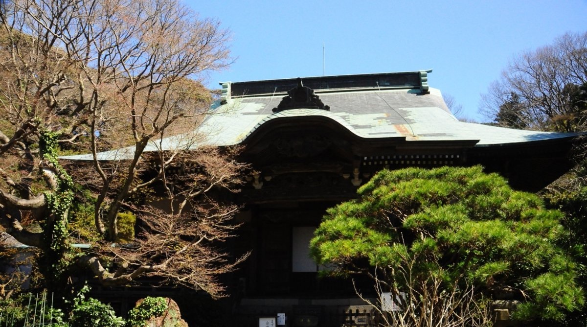妙法寺本堂の写真