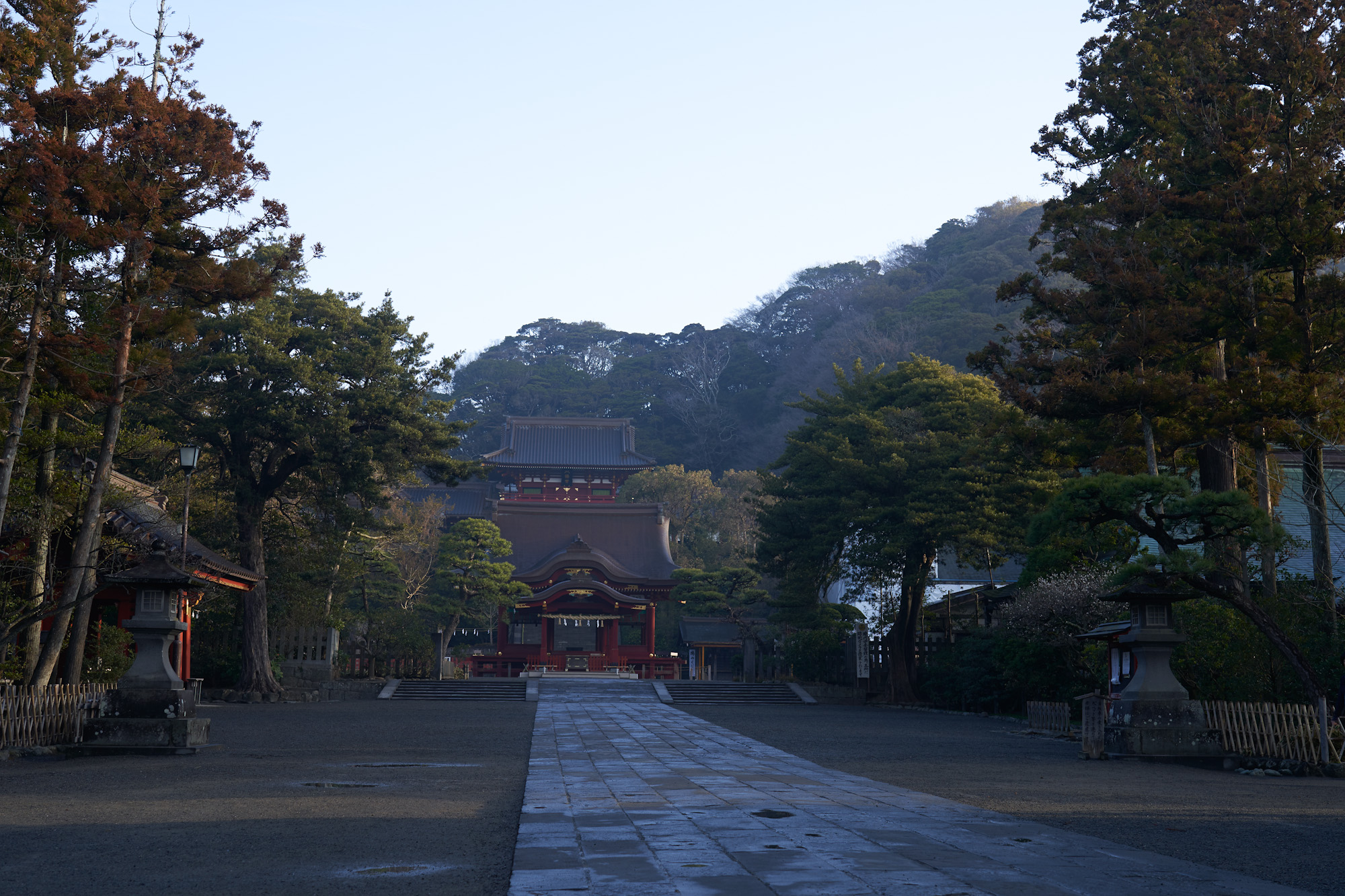 鶴岡八幡宮の朝