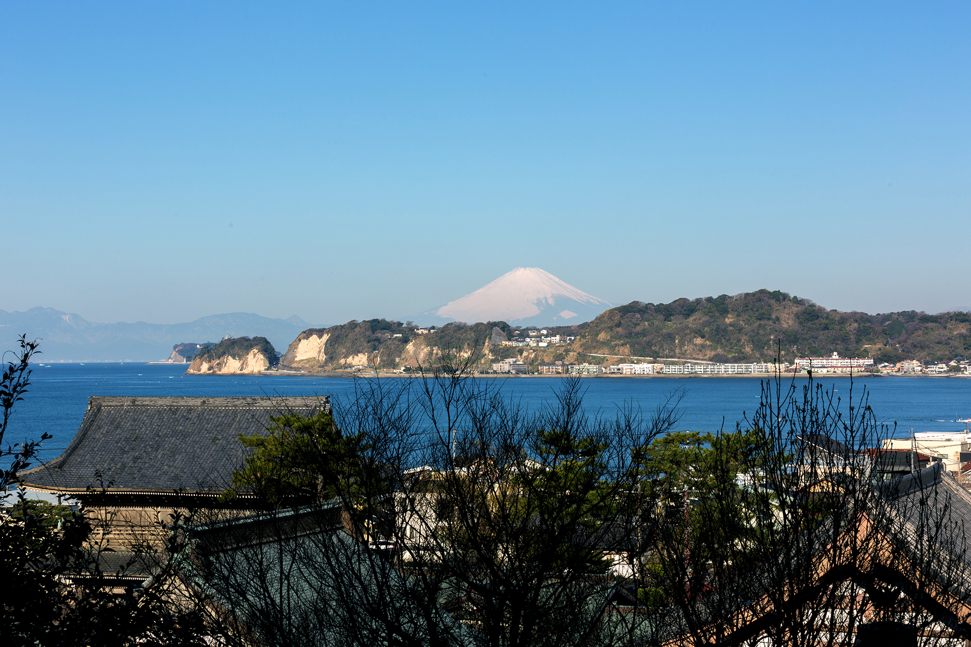 光明寺裏山