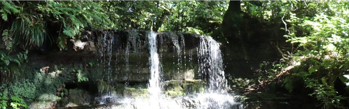 称名寺境内滝の写真