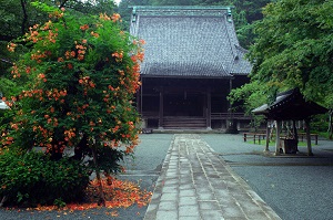 myouhonji