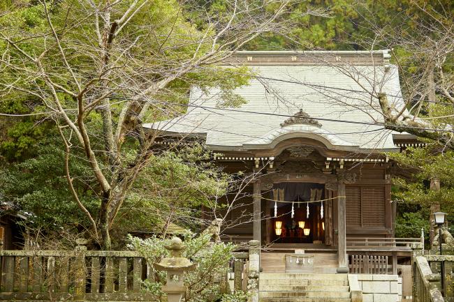 御霊神社の写真１