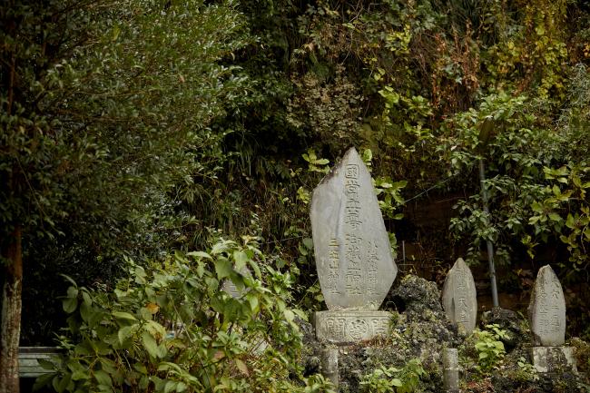 御霊神社の写真3