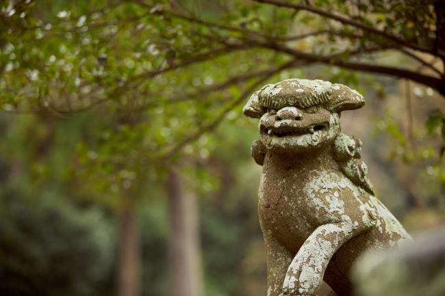 御霊神社の写真4