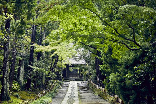 寿福寺の写真１