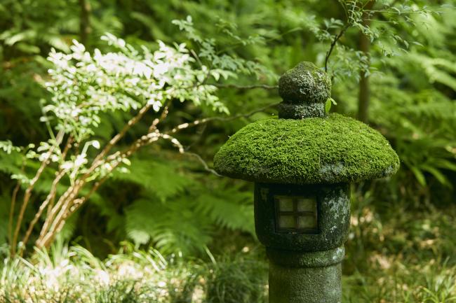 報国寺 鎌倉市観光協会 時を楽しむ 旅がある 鎌倉観光公式ガイド