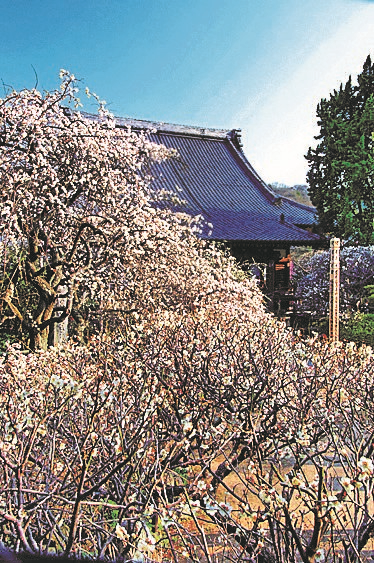 宝戒寺の写真