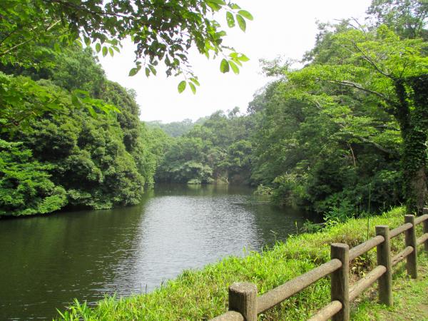 散在ガ池森林公園の写真