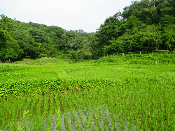 北鎌倉エリアの写真