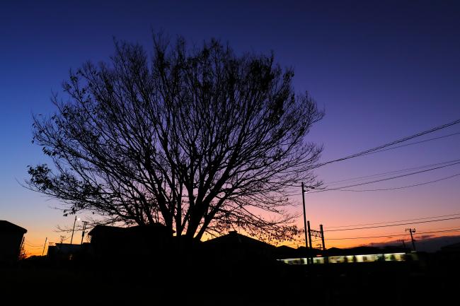 沿線の夕暮れスポットのサムネイル画像