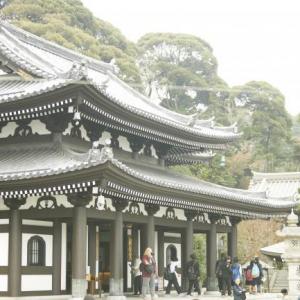 長谷寺のサムネイル画像