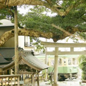 御霊神社の写真