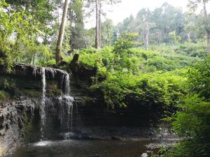 称名寺滝