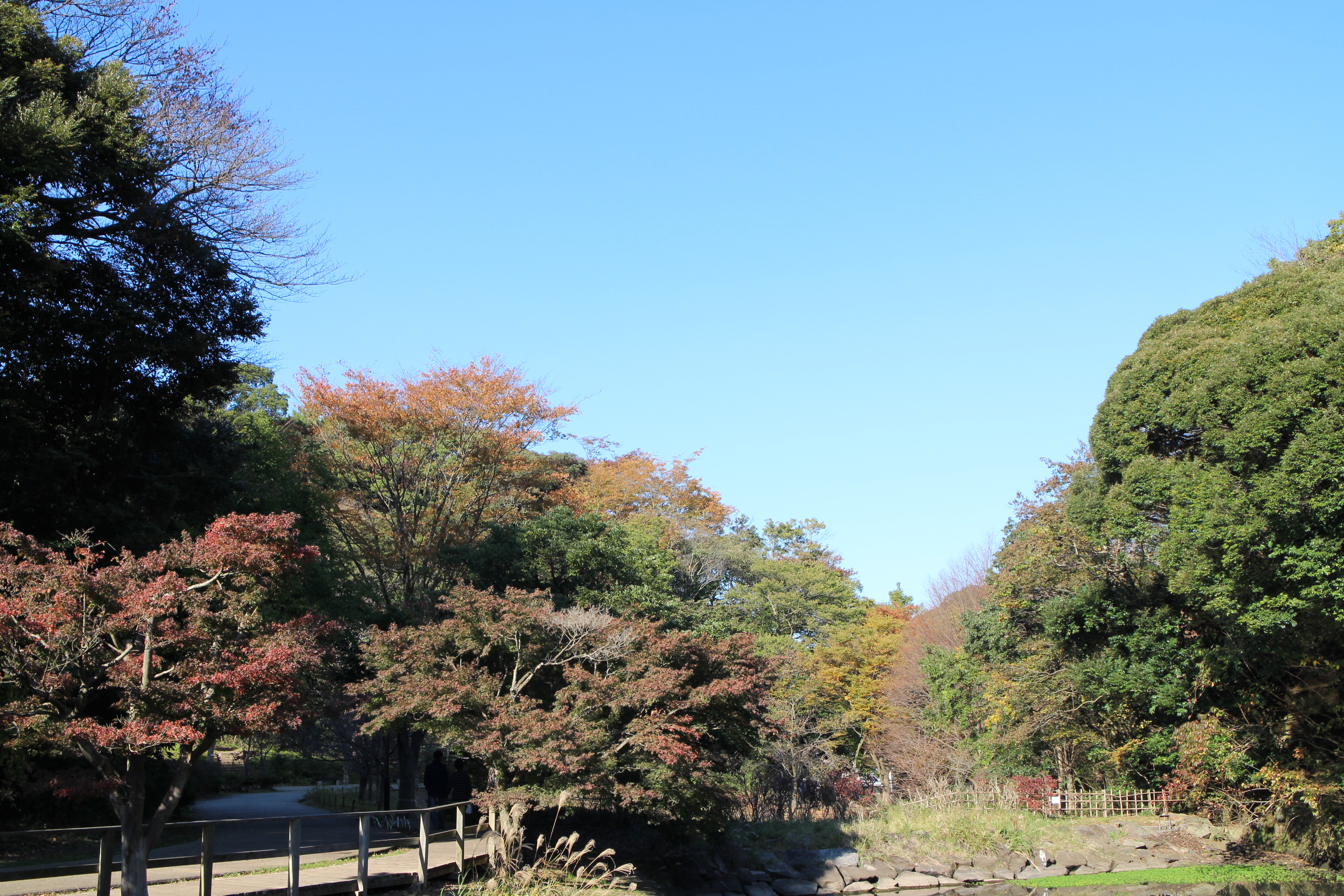 鎌倉中央公園