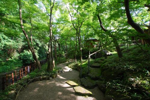 一条恵観山荘