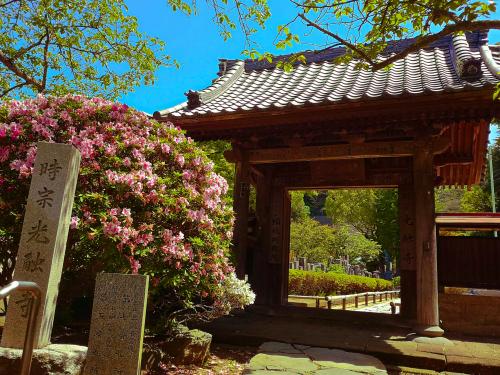 光触寺の写真