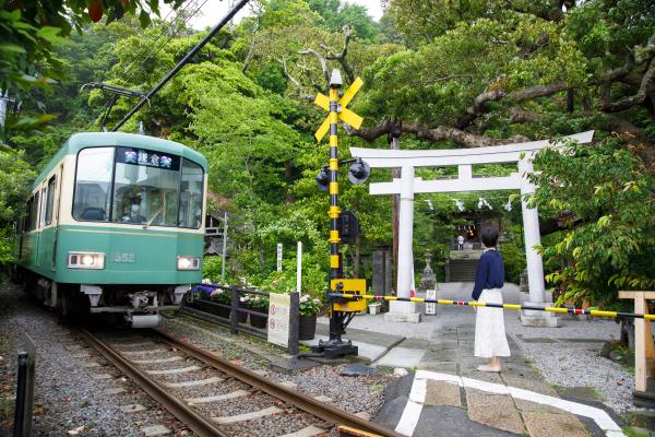 江ノ電と鳥居の写真