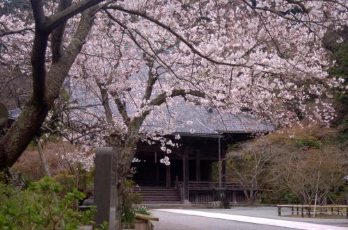 妙本寺