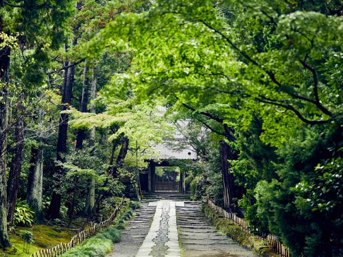 亀ヶ谷坂を抜け山内荘へ―祈りと鎮魂の路―